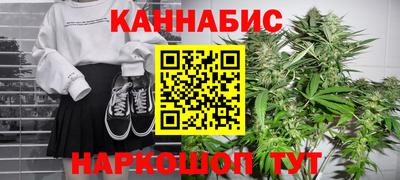 индика Заводоуковск