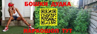 индика Заводоуковск