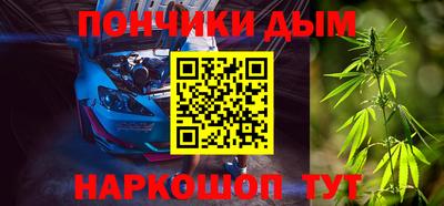 индика Заводоуковск