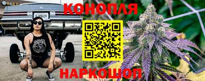 индика Заводоуковск