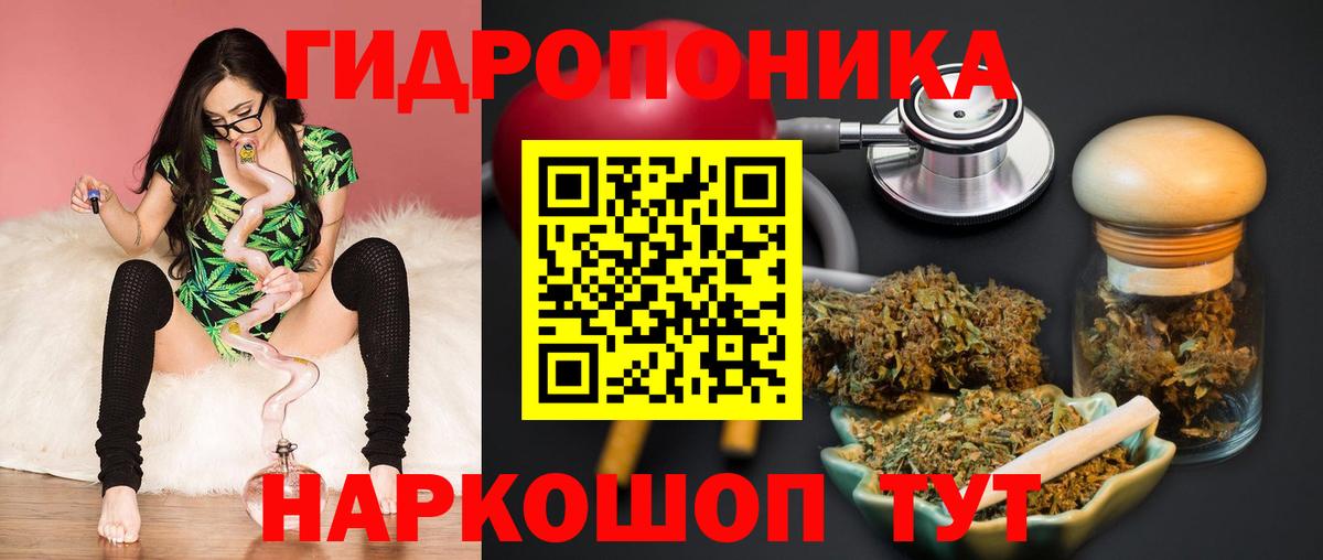 Менделеевск  Конопля AK-47  Каннабис гибрид  Марихуана семена  Вход с VPN  Марихуана White Widow 